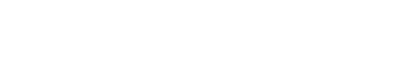Ellipse icon